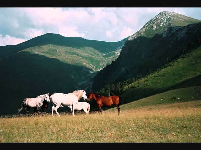 Симфонија бр.4 – Ристо Аврамовски